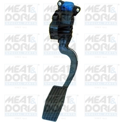 Accelerator Pedal Unit